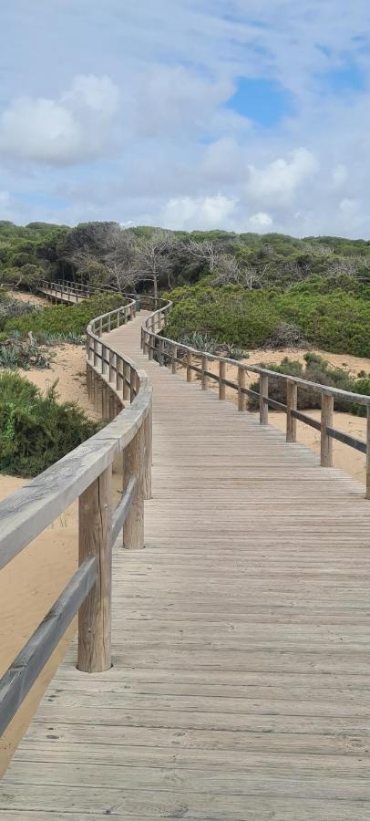 Appartement Guardamar Del Segura El Moncayo エクステリア 写真